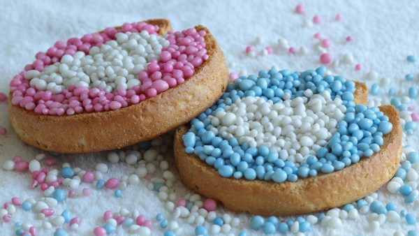 beschuit met muisjes