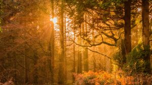 Krijgen we een Indian Summer dit najaar? Weervrouw Amara vertelt het ons