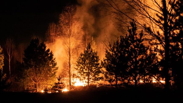 brandweerman bosbranden aangestoken frankrijk