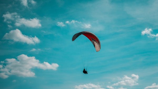 Paraglider