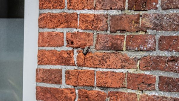 Aardbeving van 2.4 gemeten bij Groningse Uithuizen