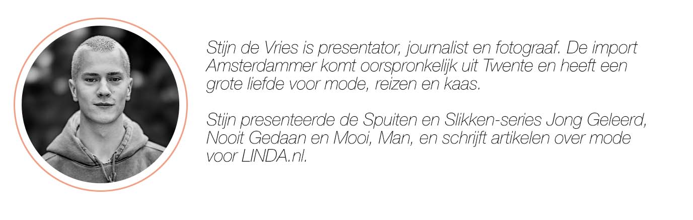 CV Stijn de Vries