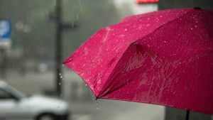 Thumbnail voor Wateroverlast in Zeeland, plaatselijk valt een maand aan regen