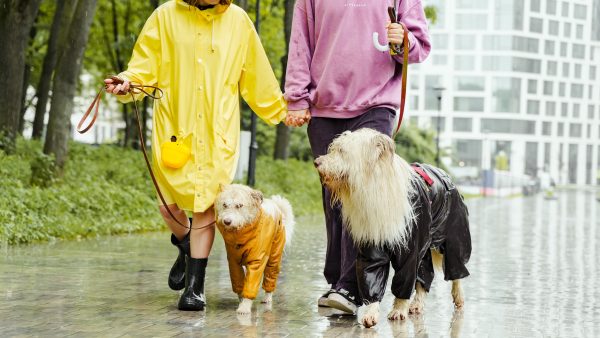 Herfst staat voor de deur: 'Maandag prachtige nazomer, vrijdag 16 graden'