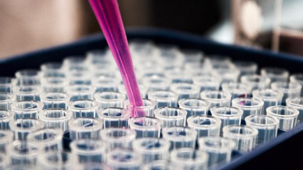 Vrouw geeft dna af na aanranding, wordt vervolgens zelf ontmaskerd als inbreekster