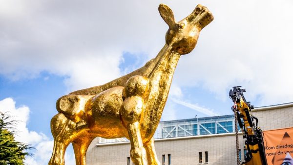 Nederlands Film Festival barst los in Utrecht, voor het eerst met genderneutraal Gouden Kalf