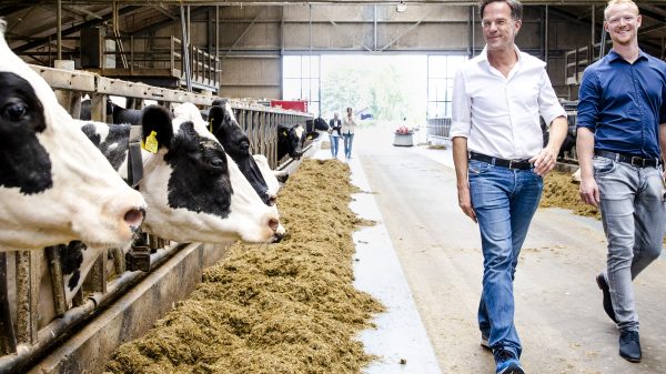 plannen uitkopen boeren