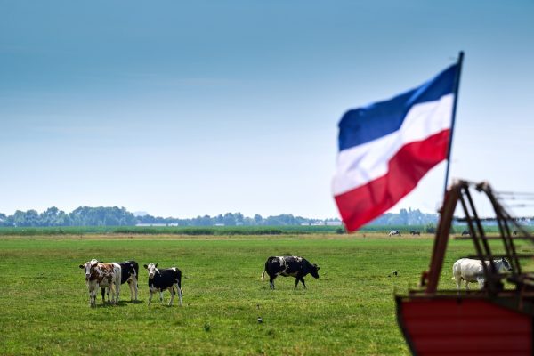 Farmers Defence Force kritisch op stikstofadvies Remkes