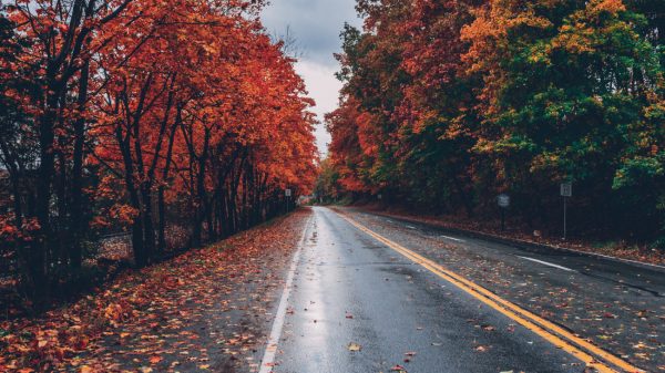 Herfstvakantie voor scholieren in noorden, drukte op weg verwacht