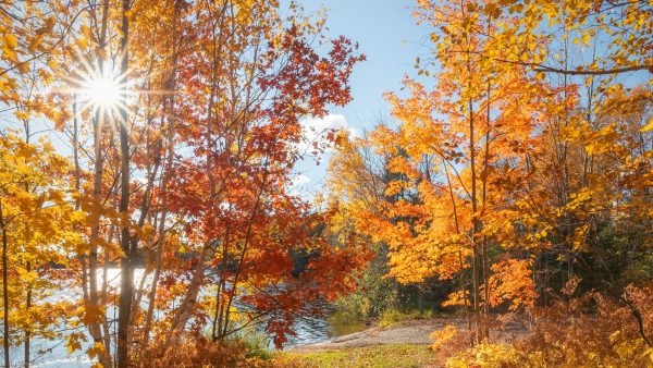 Maandag wordt een warme herfstdag, temperaturen boven de 20 graden