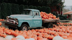 Thumbnail voor Happy herfstvakantie: 7x de leukste pompoenboerderijen van Nederland