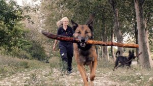 Thumbnail voor Esther speurt met 5 zoekhonden naar vermiste mensen: 'We doen het voor de achterblijvers'