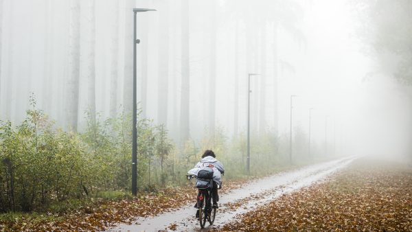 Opnieuw code geel: KNMI waarschuwt voor dichte mist