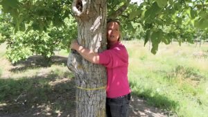 Chateau Meiland: Martien verrast met decoupeerzaag en Erica koopt dure boom