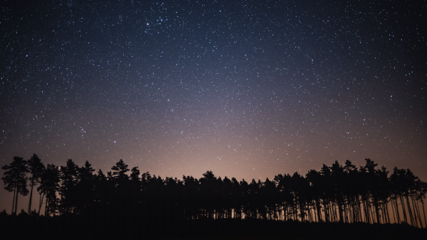 Nacht van de Nacht: dit is er vandaag allemaal te doen in het donker