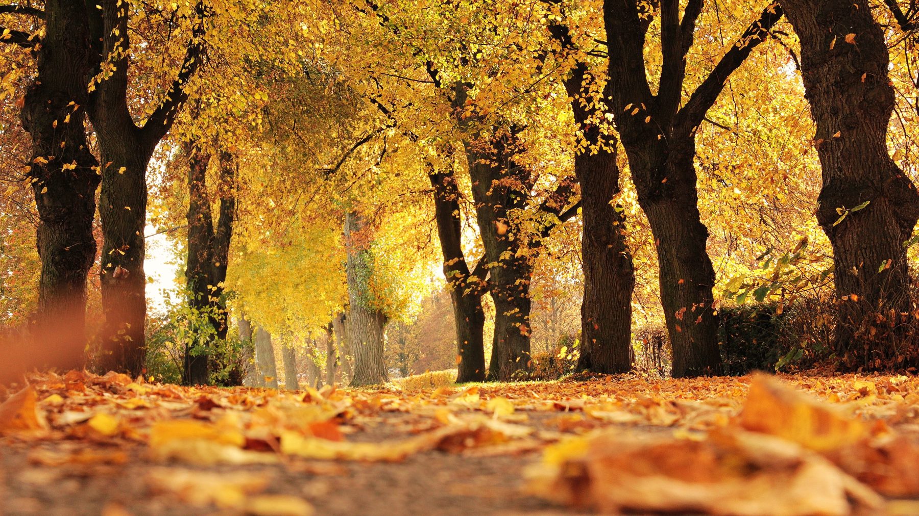 Kunnen we dit weekend naar het strand? Weervrouw Amara Onwuka vertelt het ons
