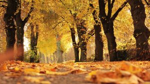 Thumbnail voor Kunnen we dit weekend in bikini naar het strand? Weervrouw Amara Onwuka vertelt het ons