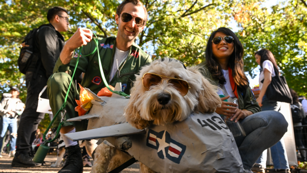 Van The Flintstones tot aan soepactivisten: honden paraderen in gekke halloweenkostuums in New York