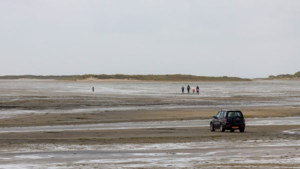 watertaxi
