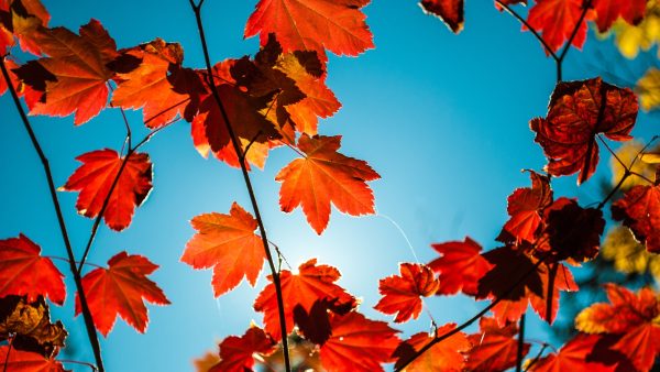 Uitzonderlijk warm weekend op komst