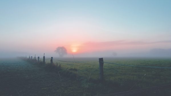 Code geel door dichte mist in midden en noorden