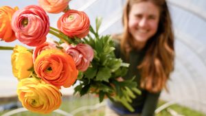 Bos bloemen