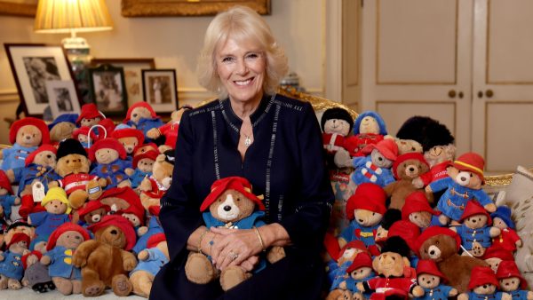 Paddington-beertjes voor Elizabeth zijn klaar voor nieuw huis