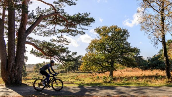 Veluwe even weg