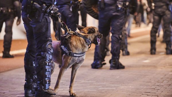 Onrust in Urk: honderd jongeren vallen politie aan met vuurwerk