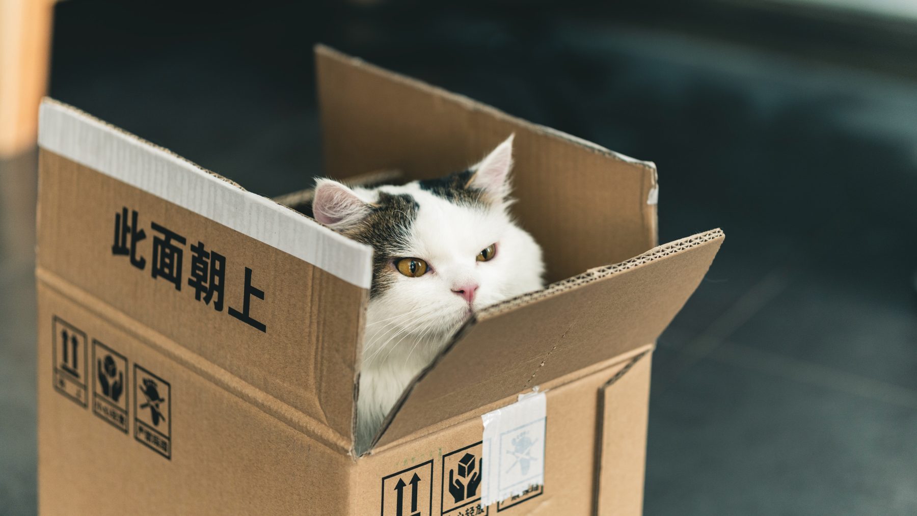 pakketje-bestellen-buitenland-regels-extra-kosten