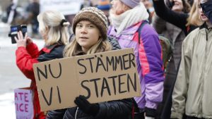 Thumbnail voor Greta Thunberg en andere activisten klagen Zweedse staat aan: 'Black Friday perfecte dag hiervoor'
