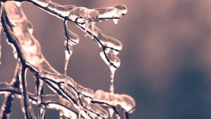 Thumbnail voor Het wordt berekoud deze week: temperatuur rond het vriespunt én kans op natte sneeuw