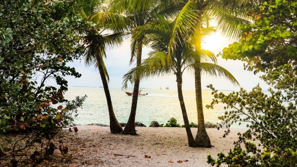 verborgen schat strand Florida