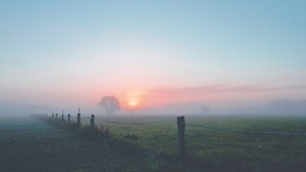 Code geel in groot deel van het land vanwege dichte mist