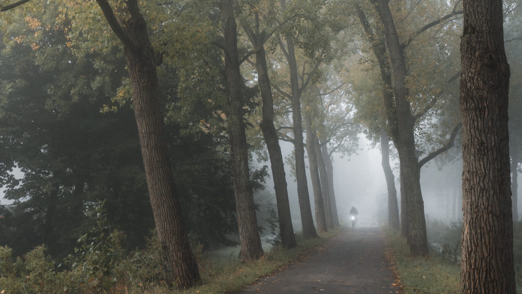 Opnieuw code geel in meerdere provincies wegens dichte mist