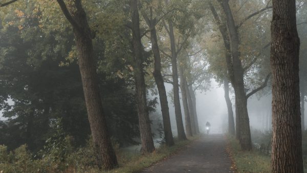 Opnieuw code geel in meerdere provincies wegens dichte mist