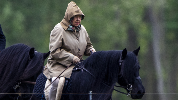 Paard Emma en Elizabeth