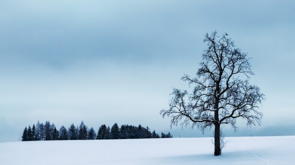 Krijgen we sneeuw deze week? Weervrouw Amara Onwuka vertelt het ons