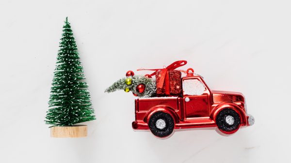 Kerstboom vervoeren in je auto? Pas op dat je geen boete krijgt