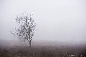 Thumbnail voor Winter op komst: eerste lokale ijsdag gemeten in Eelde