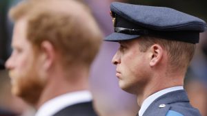 Thumbnail voor Koninklijke bonje: Meghan 'werd aan de wolven gevoerd' en Prins William wil docu niet kijken