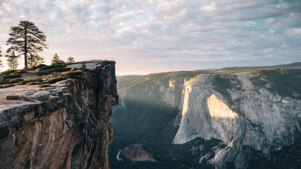 Amerikaans stel ongedeerd na autocrash van 90 meter hoge klif: 'Een wonder'