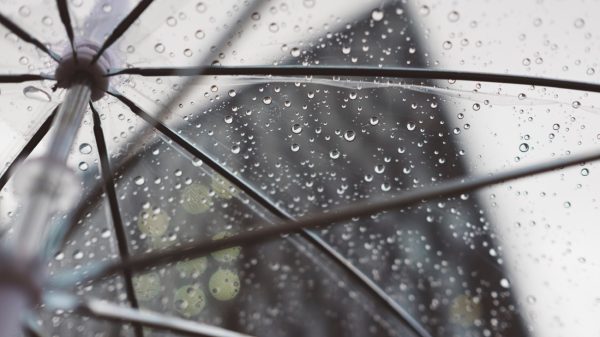 De herfst is terug: veel regen en weinig ruimte voor de zon