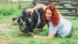 Thumbnail voor Anne-Marie geeft workshops varkens knuffelen: 'Onder de oksel zit een erogene zone'