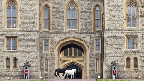 Lid koninklijke garde Windsor Castle gaat viral: 'Hij zou eigenlijk de koning moeten bewaken'