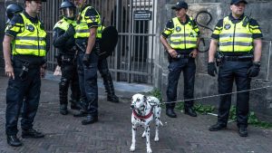 Thumbnail voor Dierenmishandeling blijft liggen: politie laat kleine criminaliteit schieten door gebrek aan mankracht