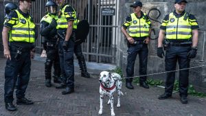 Thumbnail voor Dierenmishandeling blijft liggen: Politie laat kleine criminaliteit schieten door gebrek aan mankracht