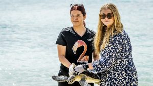 Thumbnail voor Free Mojito: prinses Amalia laat schildpad die vernoemd is naar haar paard vrij in de zee