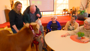 Thumbnail voor Knuffelpaard Binky laat ouderen hun eenzaamheid vergeten: 'Hun hoofden hangen niet meer'