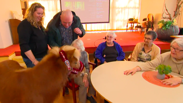 Knuffelpaard Binky zorgt voor vrolijkheid in verzorgingshuizen